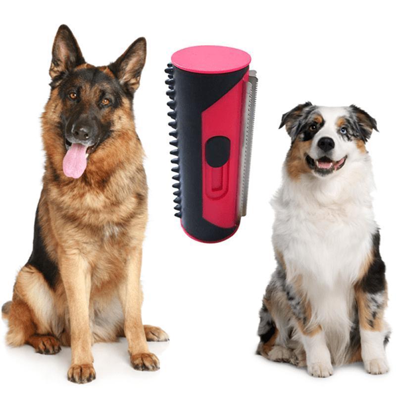 3 in 1 multifunctional brush for pets