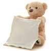 50% OFF - Peek-A-Boo Teddy Bear