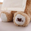 50% OFF - Peek-A-Boo Teddy Bear