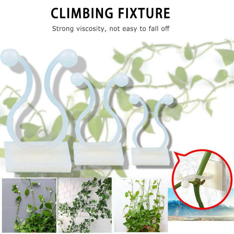 Clip de pared para trepar plantas