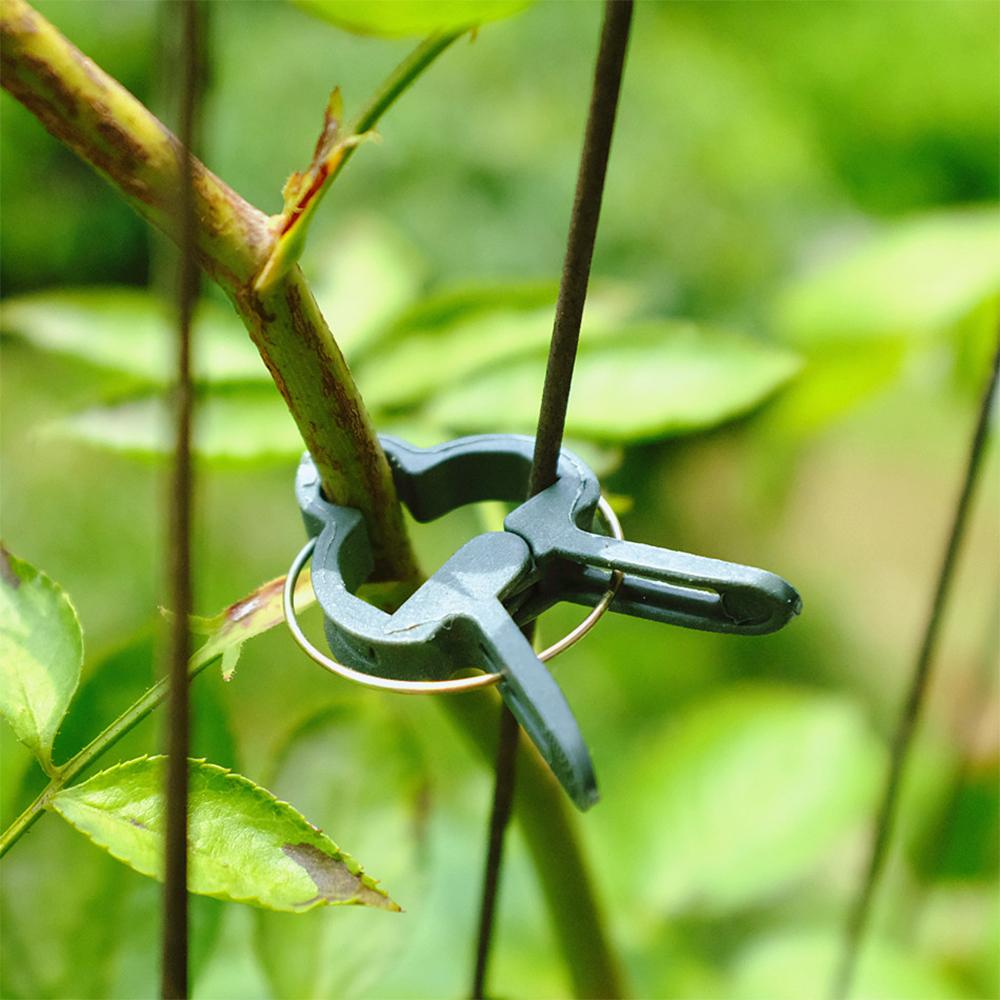 Clips fijos reutilizables seguros del agarrador del lazo de la palanca de la flor del jardín